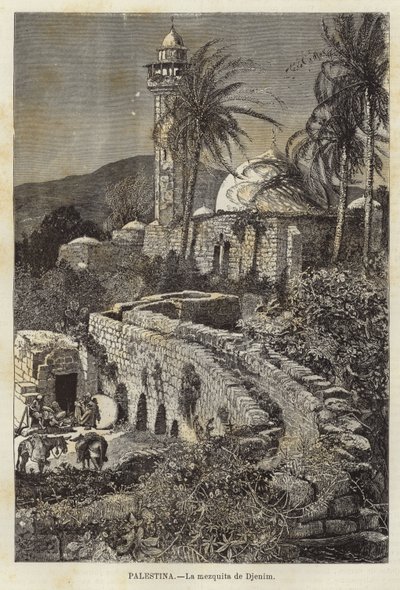 Palestina, Djenne-moskeen av European School