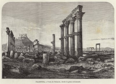 Palestina, utsikt over Palmyra, fra den store søylegangen av European School