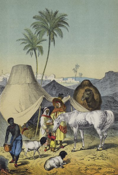 Mennesker, dyr og planter i Nord-Afrika og Arabia (farge litho) av European School