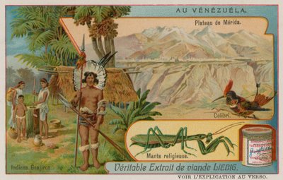 Platået til Mirida med kolibri og beddemantis og Wayu-indianere av European School