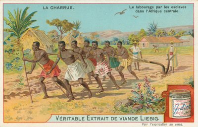 Plog, Liebig-kort, tidlig på 1900-tallet (kromo) av European School