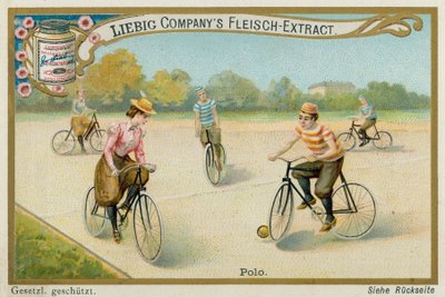 Polo av European School