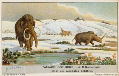 Forhistorisk verden, Liebig-kort, tidlig på 1900-tallet (kromo) av European School