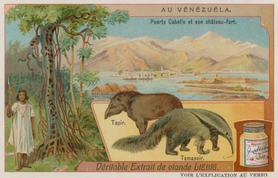 Puerto Cabello og dets fort med en tapir og en maursluker av European School