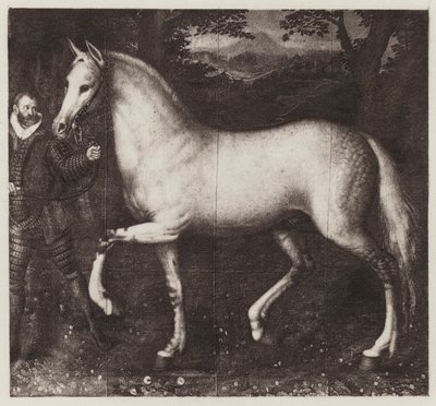 Dronning Elizabeths hest (litho) av European School