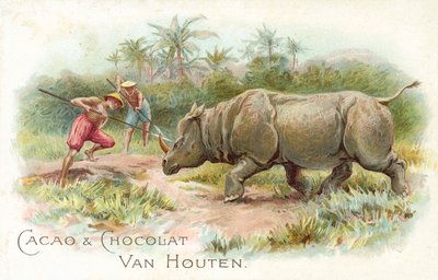 Neshorn under angrep (farge litho) av European School