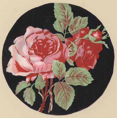 Rosa (farget lito) av European School