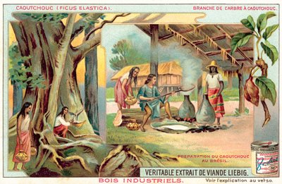 Gummitre (chromolitho) av European School