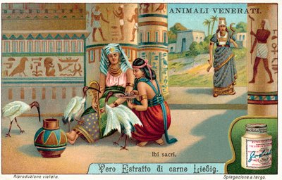 Hellig ibis i det gamle Egypt (chromolitho) av European School