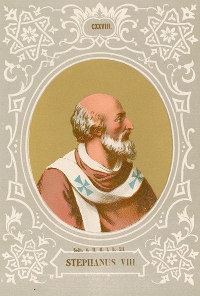 Stefan VIII av European School