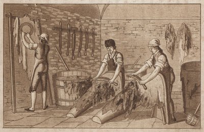 Garveri (litho) av European School