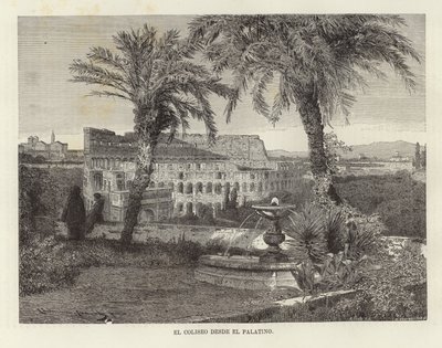 Colosseum fra Palatinen av European School