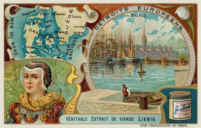 Det danske sundet av European School