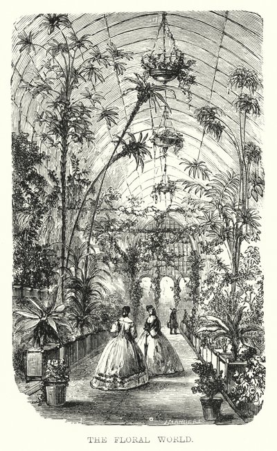 The Floral World (gravering) av European School