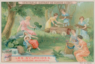 De hjelpsomme sylfene av European School