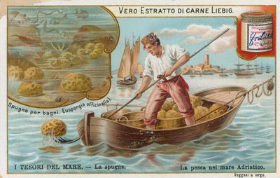 Havets skatter, Liebig-kort, tidlig på 1900-tallet (kromo) av European School