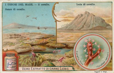 Havets skatter, Liebig-kort, tidlig på 1900-tallet (kromo) av European School