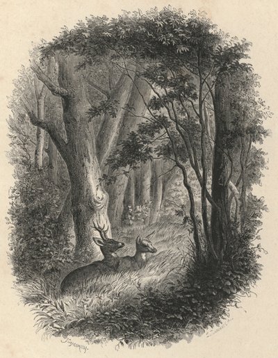 Et hjørne av skogen til Fontainebleau (gravering) av European School