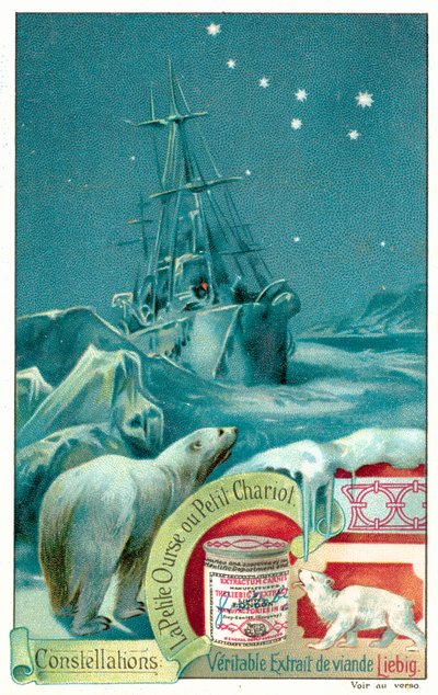 Ursa Minor (chromolitho) av European School