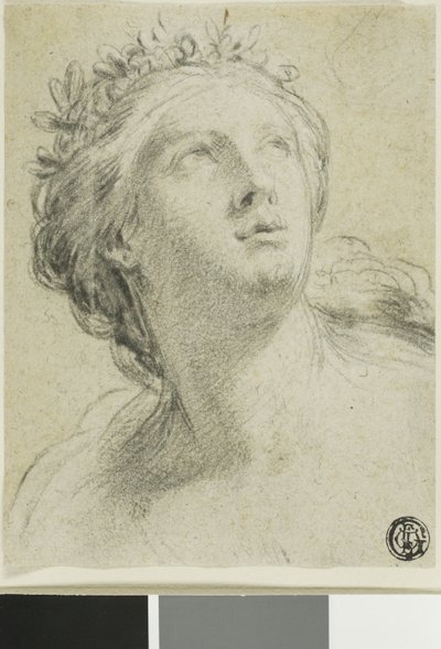 Hodet til en kvinne av Eustache Le Sueur
