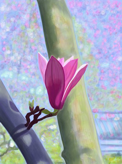 Magnoliablomst (digital kunst) av Evan Sklar