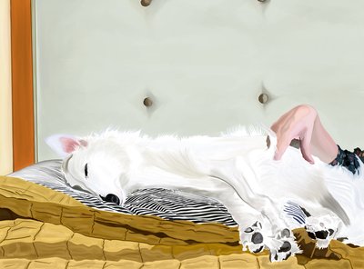  av Evan Sklar