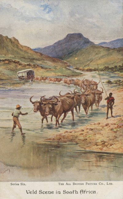 Bønder som driver storfe, Sør-Afrika (farge litho) av Evelyn Stuart Hardy
