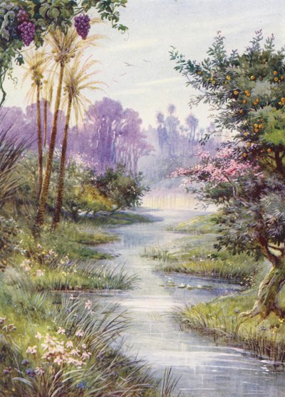  av Evelyn Stuart Hardy
