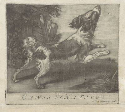 hoppende hund Canis Venaticus (tittel på objekt) av Evert van Sweinen