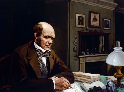 Darwin i sitt arbeidsrom (olje på lerret) av Evstafieff Evstafieff