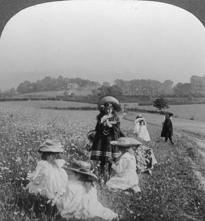 Barn i en eng, Keswick, Cumbria. av Excelsior Stereoscopic Tours