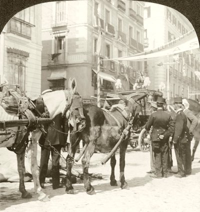 Statstrener, Calle Mayor, Madrid. av Excelsior Stereoscopic Tours