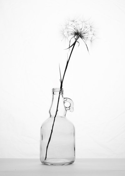  av Eyal Amer