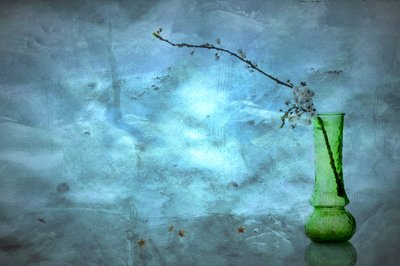  av Eyal Amer