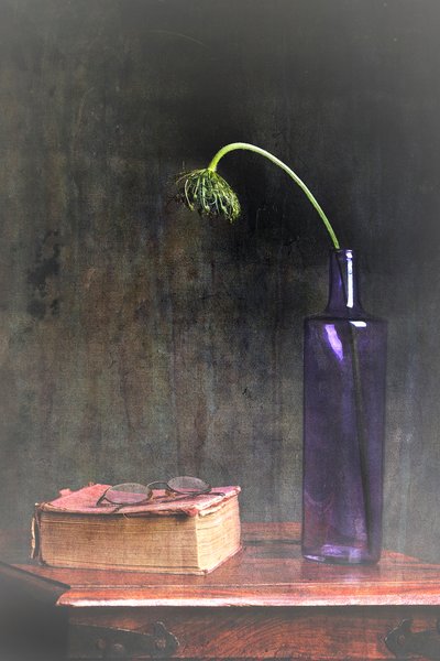  av Eyal Amer