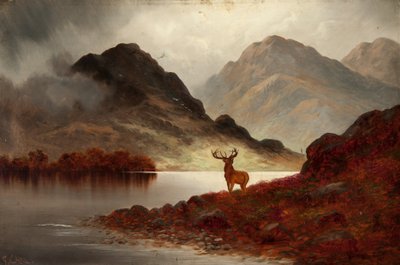 Stag at Bay (olje på lerret) av F. Carl