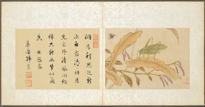 Album med diverse emner, blad 7, 1600-tallet. av Fan Qi