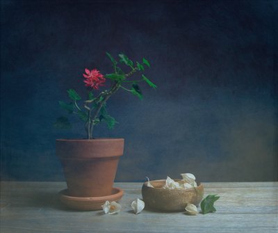Stemningsfull potteblomst av Fangping Zhou