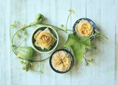 Pastellfargede roser og gresskar av Fangping Zhou