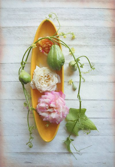 Rustikk rose og chayote av Fangping Zhou
