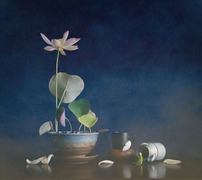 Fredelig lotus-stilleben av Fangping Zhou
