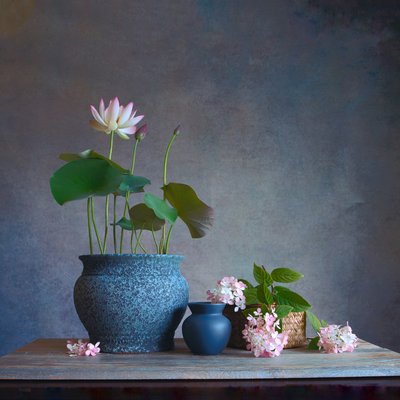 Fredfylt stilleben med lotus av Fangping Zhou