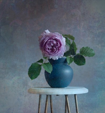 Fredelig lilla rose av Fangping Zhou