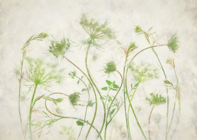 Myke grønne botaniske motiver av Fangping Zhou