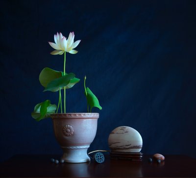 Zen-stilleben med lotus av Fangping Zhou