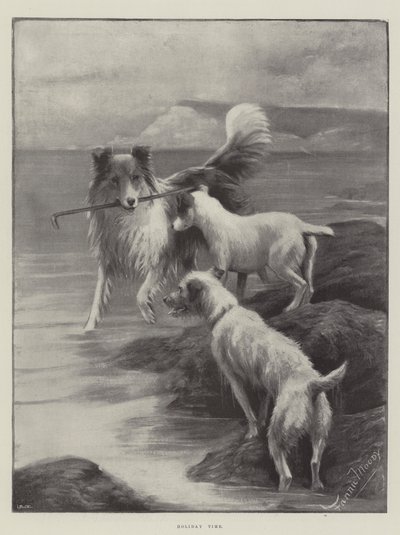 Ferietid av Fannie Moody
