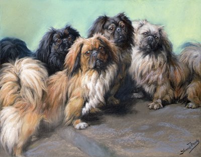 Spoiled Darlings (farget kritt) av Fannie Moody