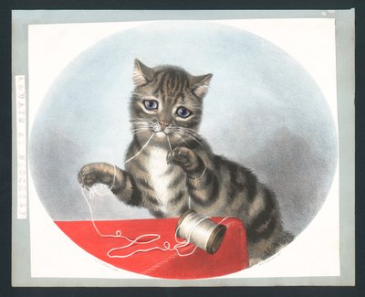 Always at Mischief - viktoriansk gratulasjonskort (chromolitho) av Fanny Corbaux