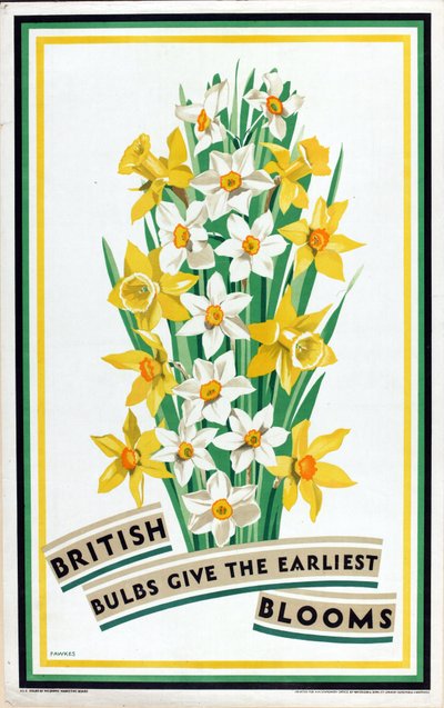 British Bulbs Give the Earliest Blooms, fra serien 'British Bulbs for Home Gardens' (farge litho) av Fawkes Fawkes