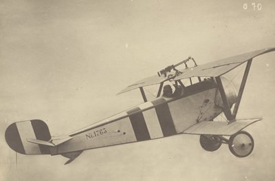  av Fedele Azari